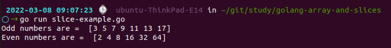 Go Slice Example