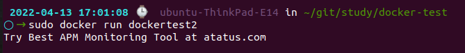 Docker ENTRYPOINT Output