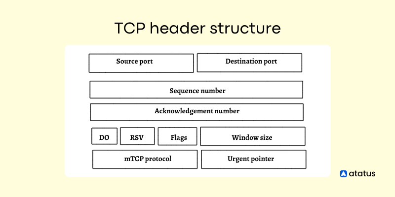 TCP header structure