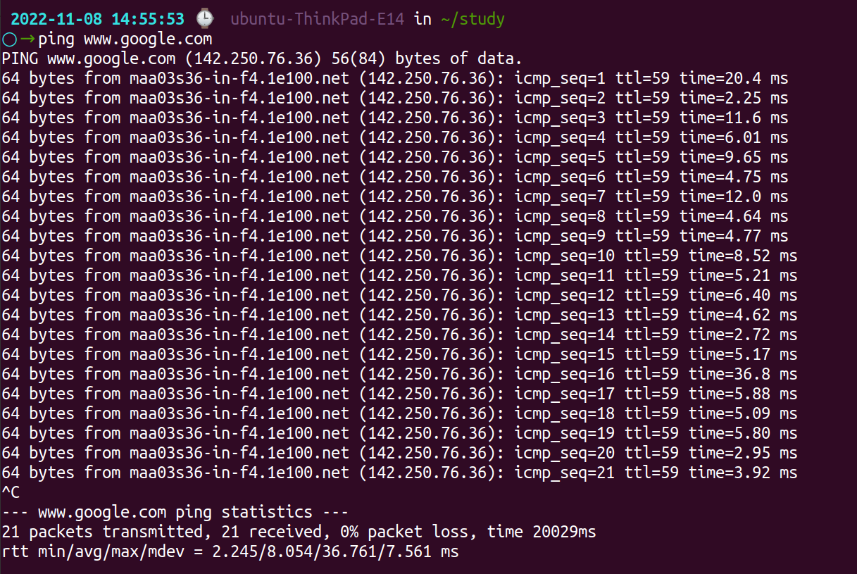 Ping Linux command
