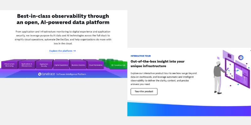Dynatrace Monitoring Tool