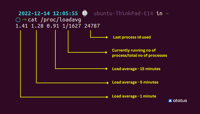 cat command in Linux