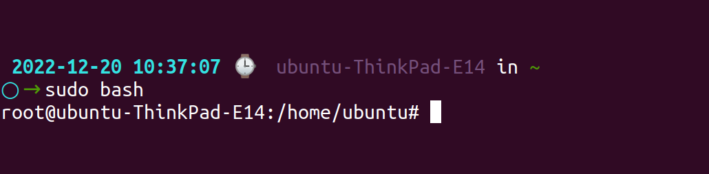sudo bash command in Linux