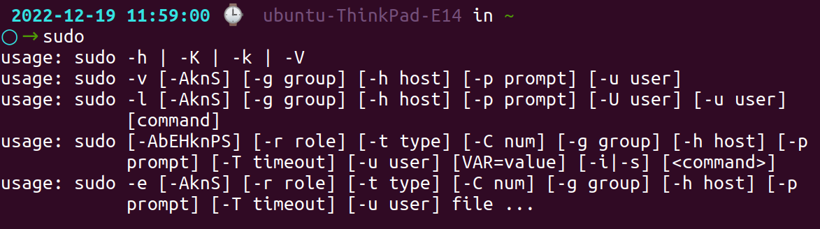 sudo command in Linux