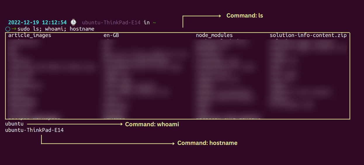 sudo numerous command in Linux