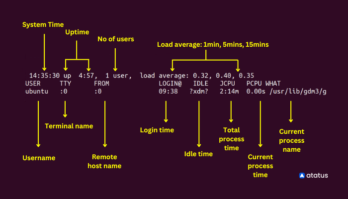 w command in linux