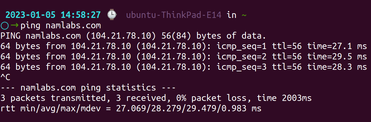 ping command in Linux