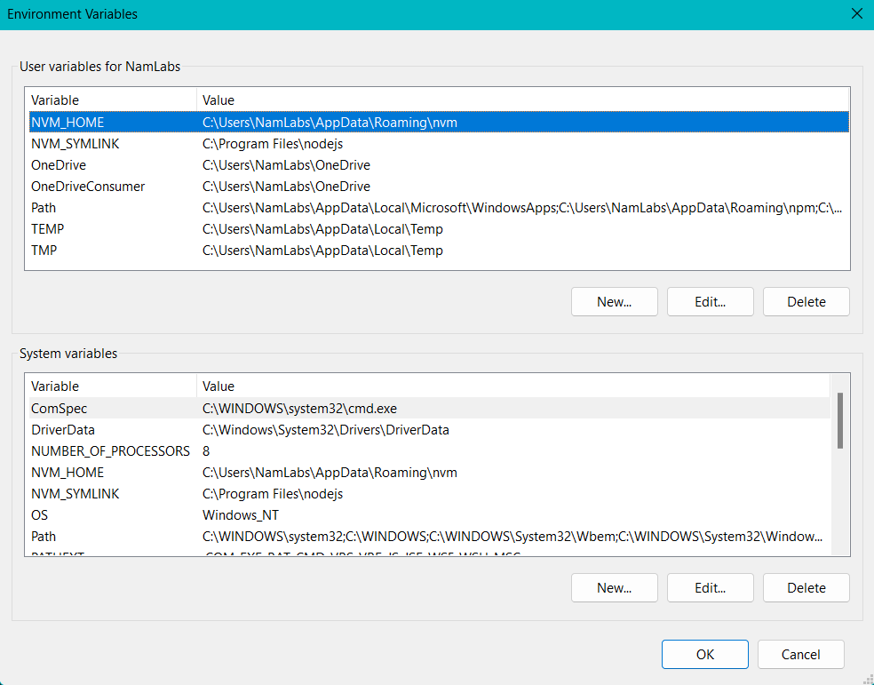 Environment Variable