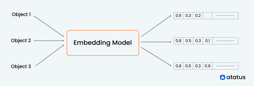 Vector Embedding