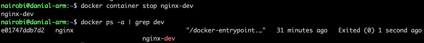 Docker Stop Container