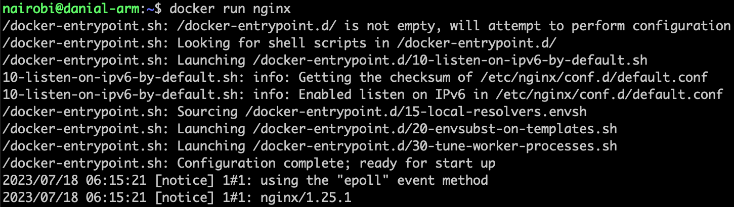 Docker Run Image