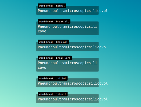 css text no break word