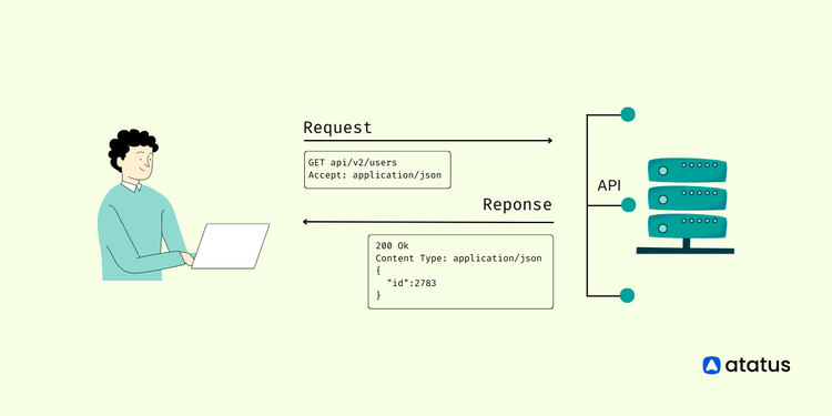 A Beginner's Guide to API Data Formats: JSON, XML, Plain Text, and Binary