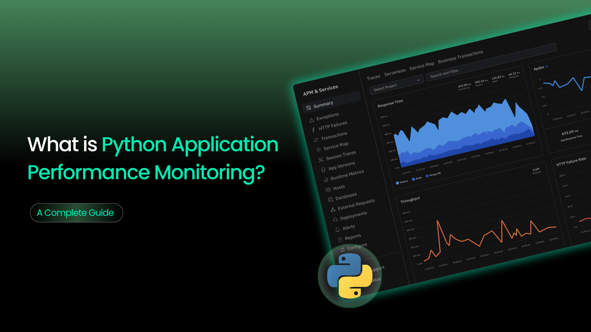 What is Python Application Performance Monitoring? - [A Complete Guide]