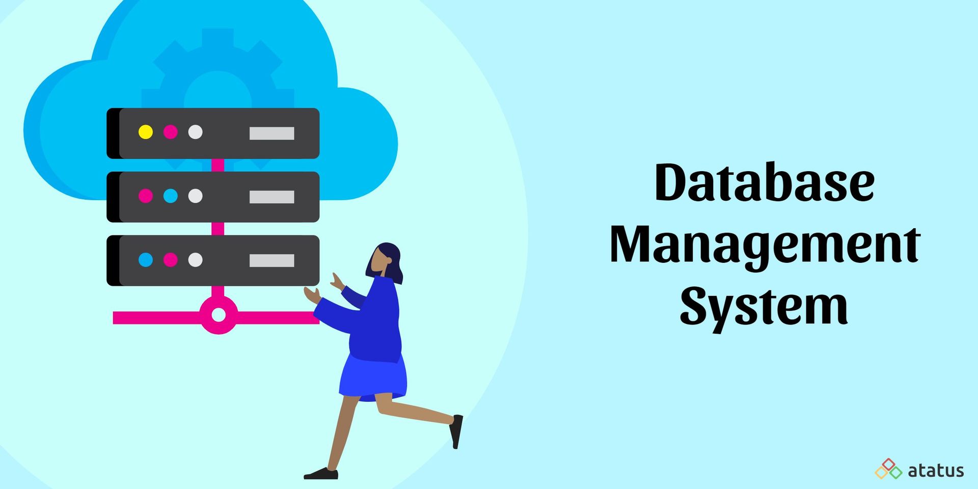 essay on database management system